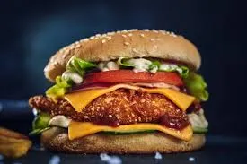 Chicken Masala Burger